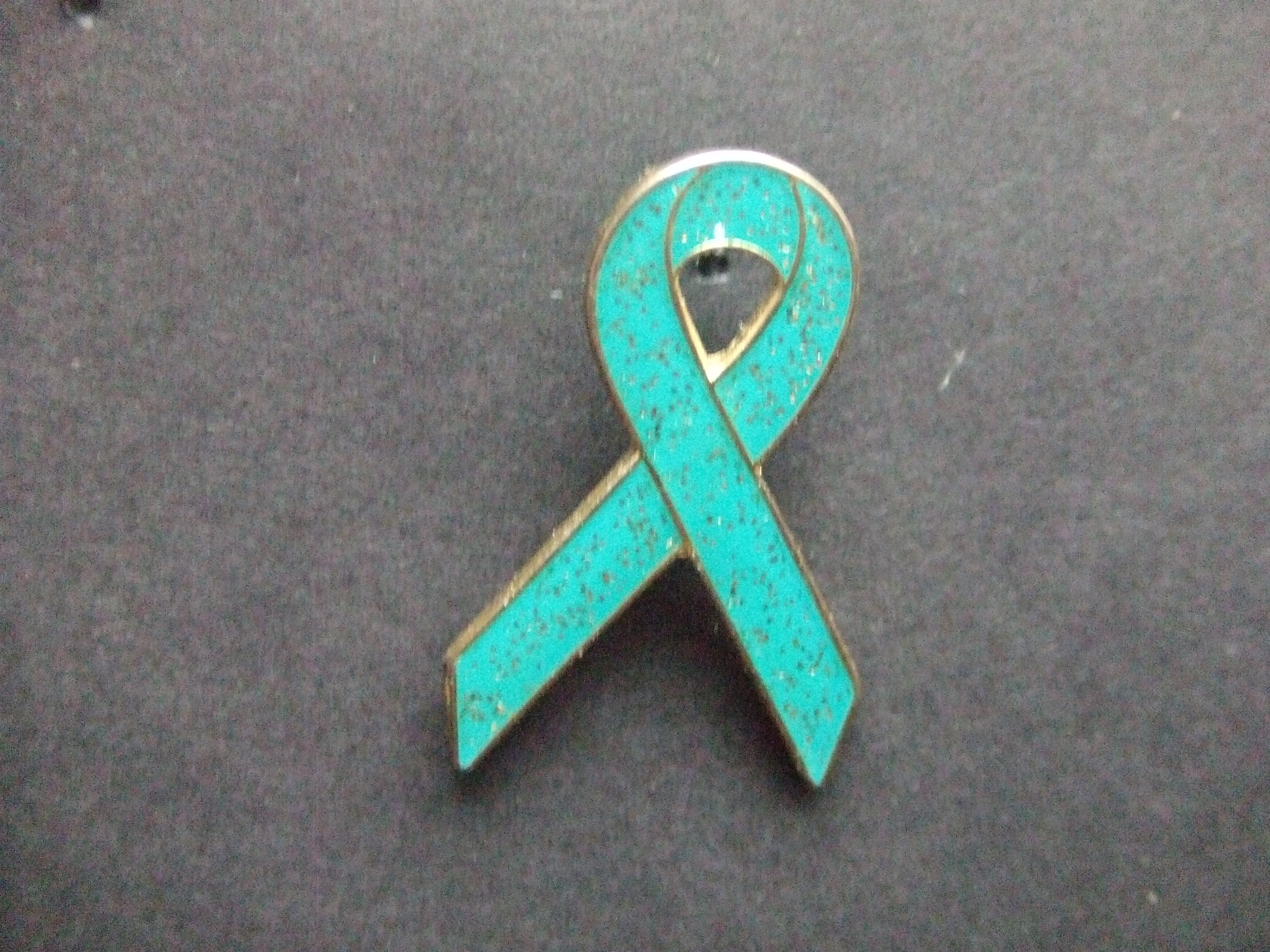 Bleu Ribbon fondsenwervende organisatie voor kanker,